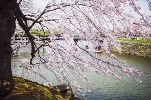 ���ӹ�ʱ��������