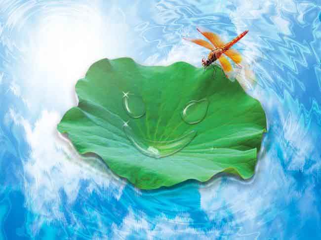 һ���ˣ�һ�׸�